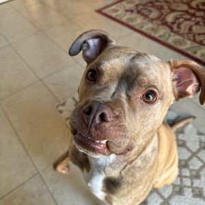 Meet your Posher, Jakelin